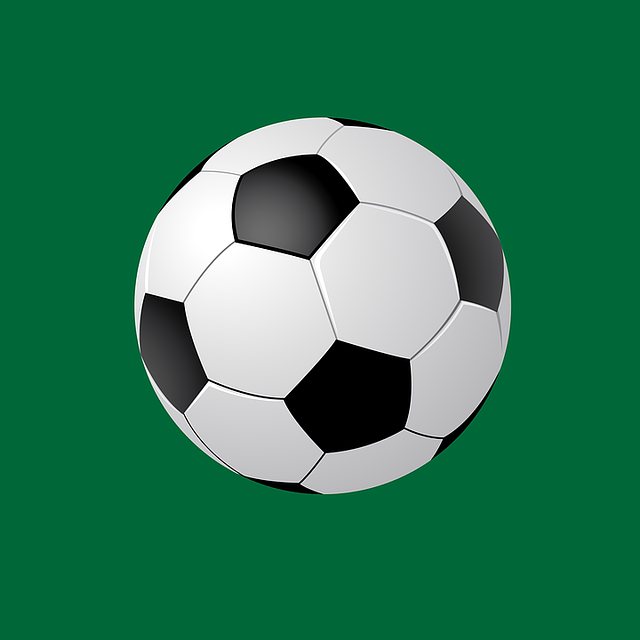Kundenbindungsmaßnahmen im professionellen Fußball